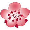 China Airlines logo